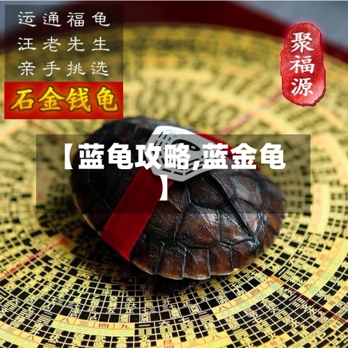 【蓝龟攻略,蓝金龟】