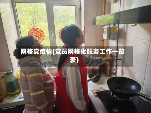 网格党疫情(党员网格化服务工作一览表)
