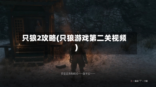 只狼2攻略(只狼游戏第二关视频)