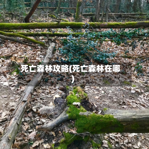 死亡森林攻略(死亡森林在哪)-第3张图片