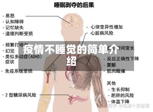 疫情不睡觉的简单介绍