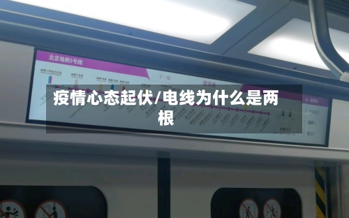 疫情心态起伏/电线为什么是两根