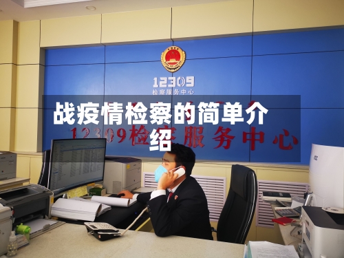 战疫情检察的简单介绍-第3张图片