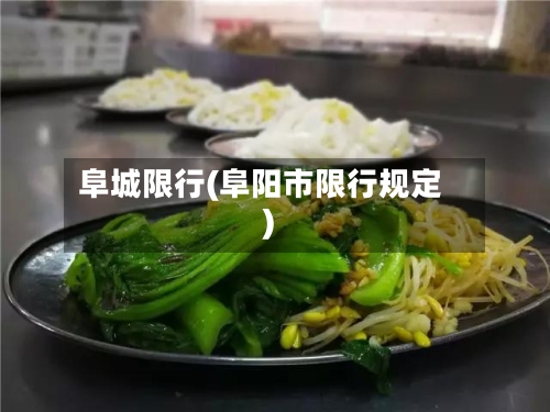 阜城限行(阜阳市限行规定)